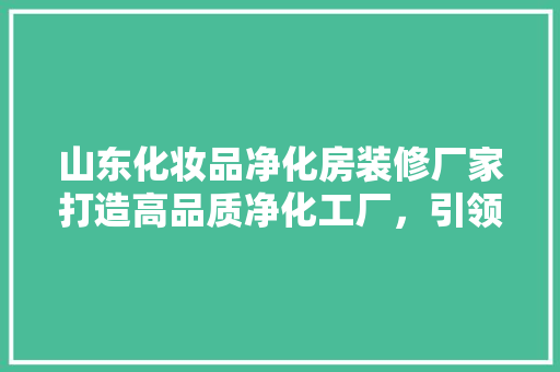 山东化妆品净化房装修厂家打造高品质净化工厂，引领行业发展