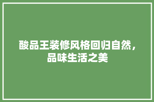 酸品王装修风格回归自然，品味生活之美