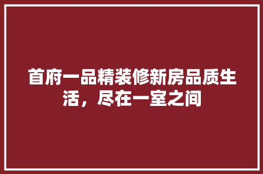 首府一品精装修新房品质生活，尽在一室之间
