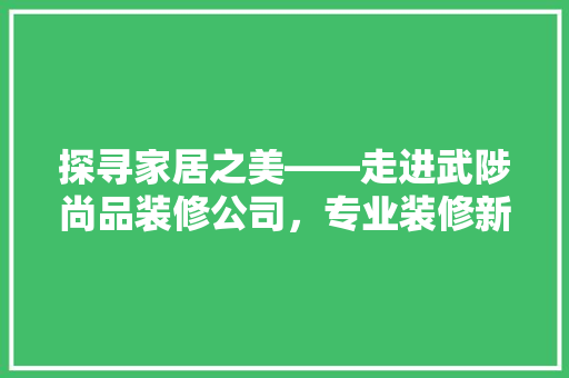 探寻家居之美——走进武陟尚品装修公司，专业装修新体验