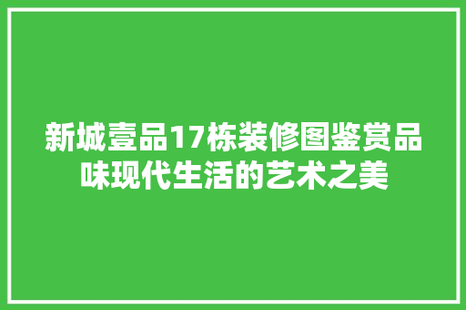 新城壹品17栋装修图鉴赏品味现代生活的艺术之美