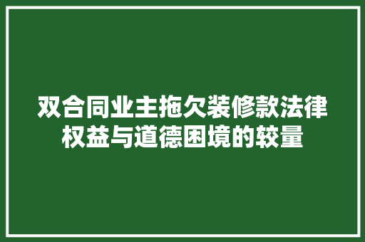 双合同业主拖欠装修款法律权益与道德困境的较量