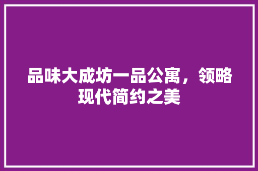 品味大成坊一品公寓，领略现代简约之美