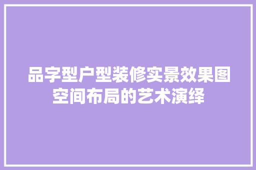 品字型户型装修实景效果图空间布局的艺术演绎
