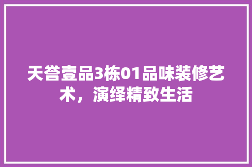 天誉壹品3栋01品味装修艺术，演绎精致生活