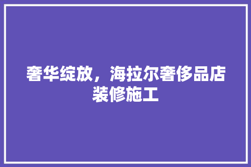 奢华绽放，海拉尔奢侈品店装修施工