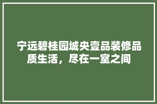 宁远碧桂园城央壹品装修品质生活，尽在一室之间