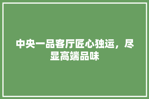 中央一品客厅匠心独运，尽显高端品味