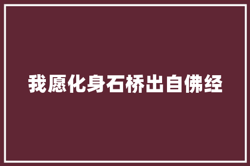 田园晶品装修设计图纸大全打造温馨宜居的家居空间