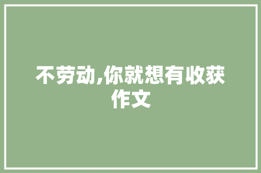 男士西装修身小款品味与时尚的完美融合