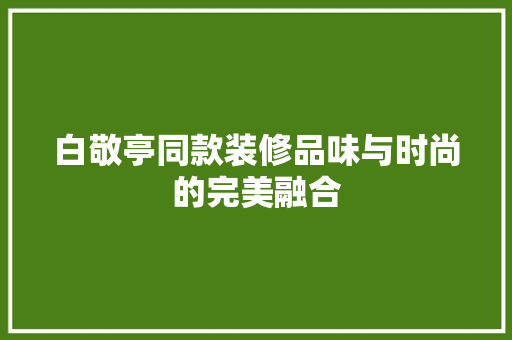 白敬亭同款装修品味与时尚的完美融合