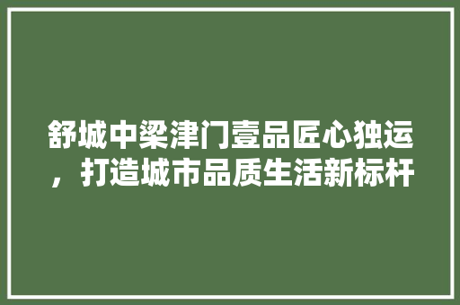 舒城中梁津门壹品匠心独运，打造城市品质生活新标杆