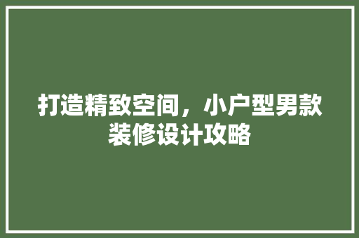 打造精致空间，小户型男款装修设计攻略