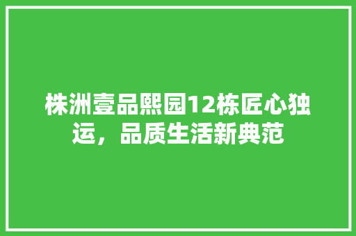 株洲壹品熙园12栋匠心独运，品质生活新典范