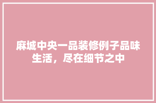 麻城中央一品装修例子品味生活，尽在细节之中