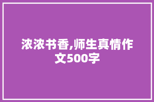 探寻品质生活装修木餐椅中的佼佼者