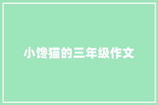 摊销装修款会计分录财务管理的艺术与方法