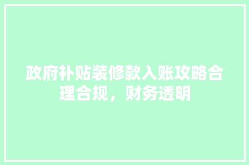 政府补贴装修款入账攻略合理合规，财务透明