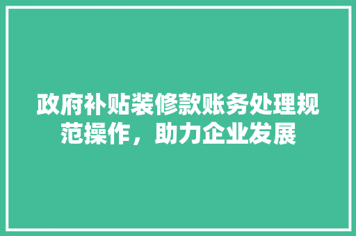 政府补贴装修款账务处理规范操作，助力企业发展