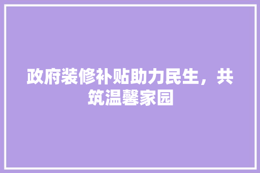 政府装修补贴助力民生，共筑温馨家园