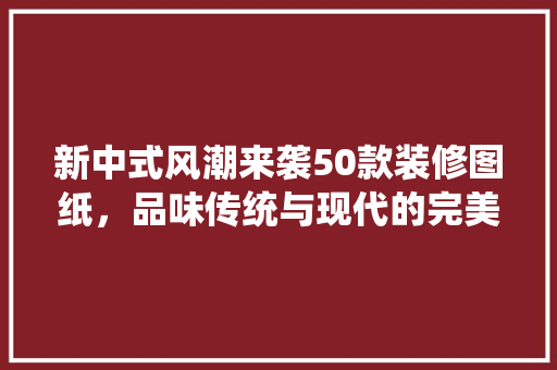 新中式风潮来袭50款装修图纸，品味传统与现代的完美融合