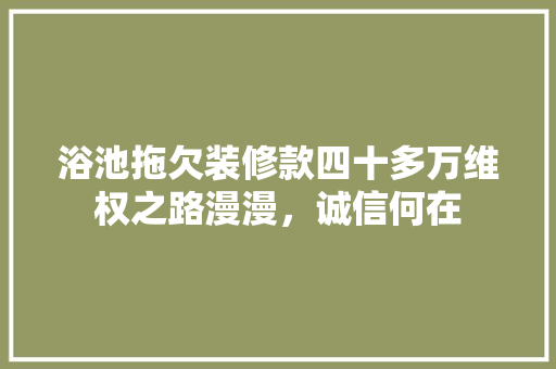 浴池拖欠装修款四十多万维权之路漫漫，诚信何在