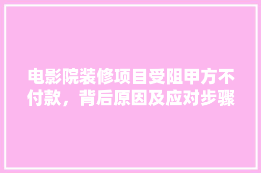 电影院装修项目受阻甲方不付款，背后原因及应对步骤探析