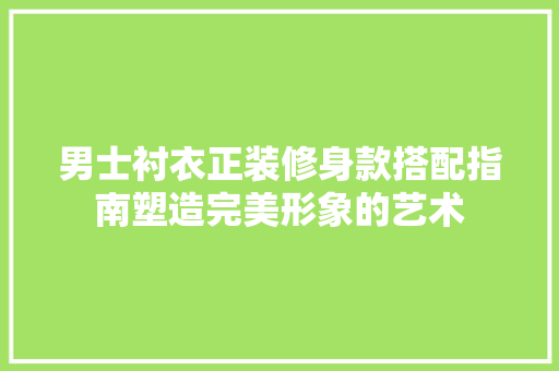 男士衬衣正装修身款搭配指南塑造完美形象的艺术