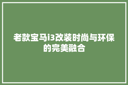 老款宝马i3改装时尚与环保的完美融合