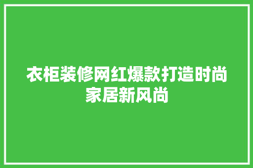 衣柜装修网红爆款打造时尚家居新风尚