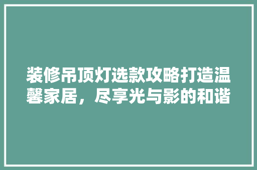 装修吊顶灯选款攻略打造温馨家居，尽享光与影的和谐之美