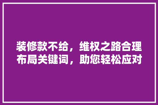装修款不给，维权之路合理布局关键词，助您轻松应对