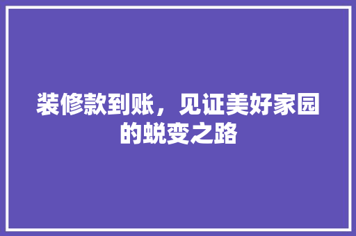 装修款到账，见证美好家园的蜕变之路