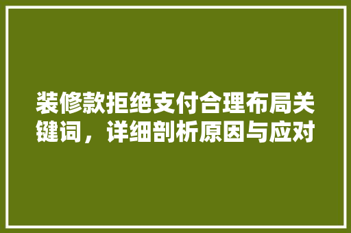 装修款拒绝支付合理布局关键词，详细剖析原因与应对步骤