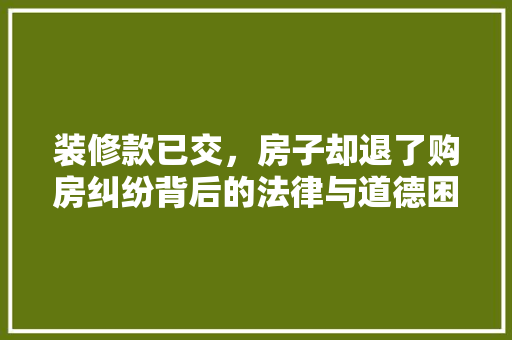 装修款已交，房子却退了购房纠纷背后的法律与道德困境