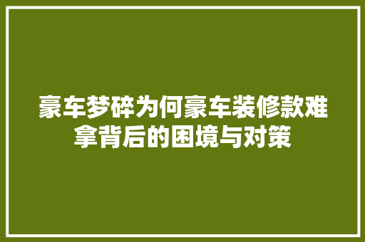 豪车梦碎为何豪车装修款难拿背后的困境与对策