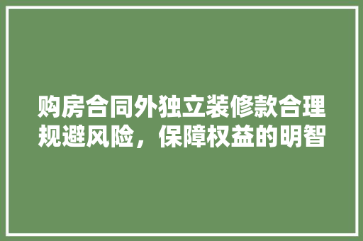 购房合同外独立装修款合理规避风险，保障权益的明智选择