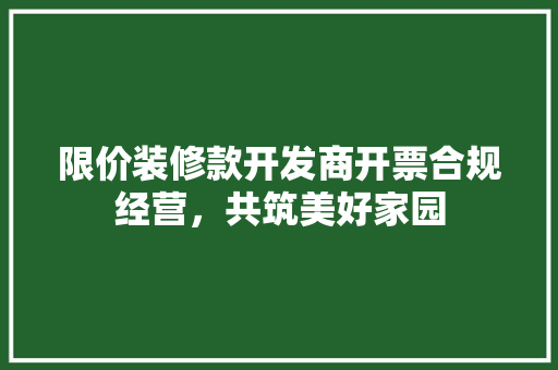 限价装修款开发商开票合规经营，共筑美好家园