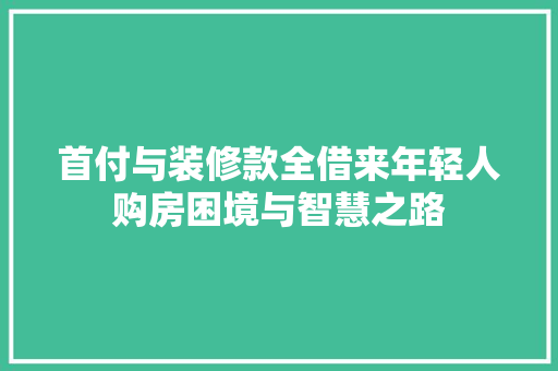首付与装修款全借来年轻人购房困境与智慧之路