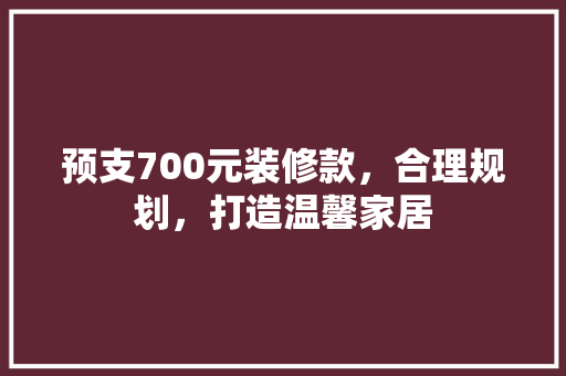 预支700元装修款，合理规划，打造温馨家居