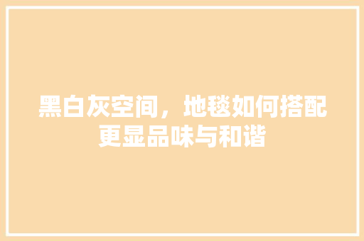 黑白灰空间，地毯如何搭配更显品味与和谐