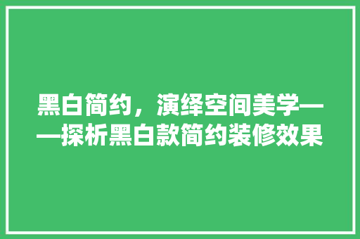 黑白简约，演绎空间美学——探析黑白款简约装修效果的魅力
