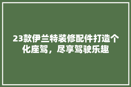 23款伊兰特装修配件打造个化座驾，尽享驾驶乐趣