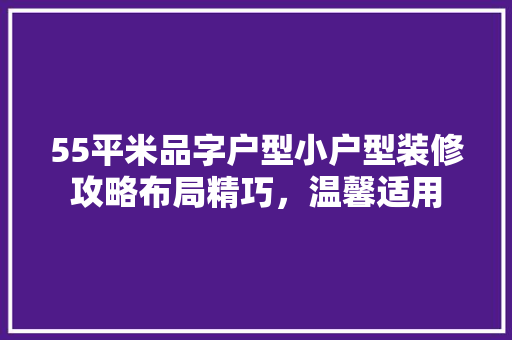 55平米品字户型小户型装修攻略布局精巧，温馨适用