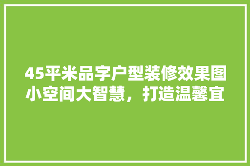 45平米品字户型装修效果图小空间大智慧，打造温馨宜居的家