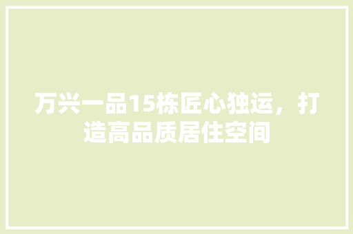 万兴一品15栋匠心独运，打造高品质居住空间
