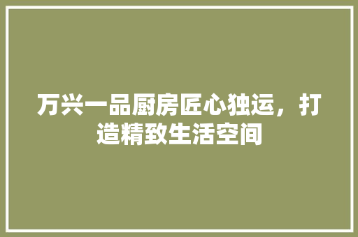 万兴一品厨房匠心独运，打造精致生活空间