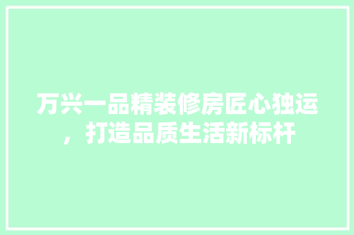 万兴一品精装修房匠心独运，打造品质生活新标杆