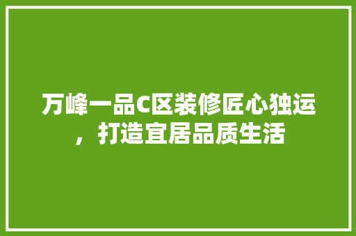 万峰一品C区装修匠心独运，打造宜居品质生活