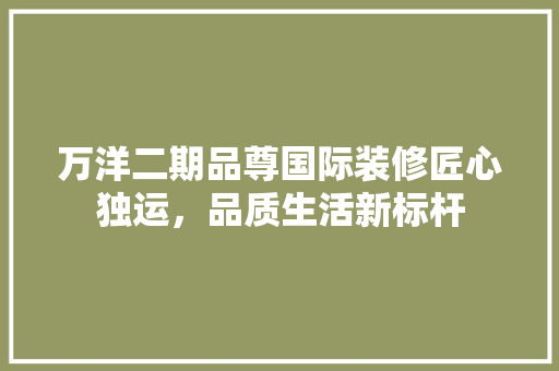 万洋二期品尊国际装修匠心独运，品质生活新标杆